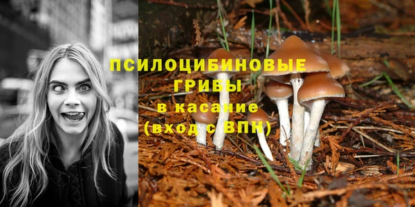 ECSTASY Армянск