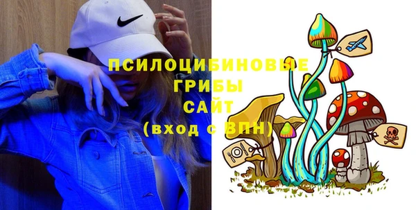 ПСИЛОЦИБИНОВЫЕ ГРИБЫ Арсеньев