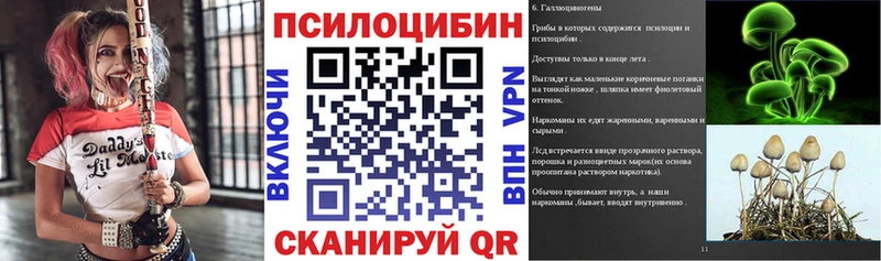 Галлюциногенные грибы Cubensis  сколько стоит  Протвино 